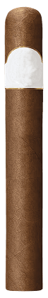 cigar taste